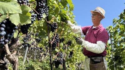 Treffpunkt: Reben, Rätsel, romantische Nächte: Erlebnisse rund um den Wein Treffpunkt: Reben, Rätsel, romantische Nächte: Erlebnisse rund um den Wein