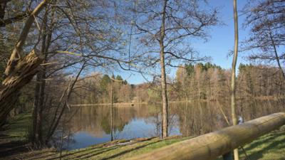 Treffpunkt: Naturerlebnisse im Wald: Eulen hautnah, Bibern auf der Spur, Wandern im Hochmoor