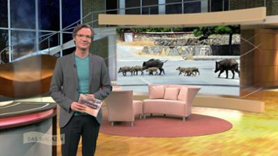 Wir im Saarland - Das Magazin