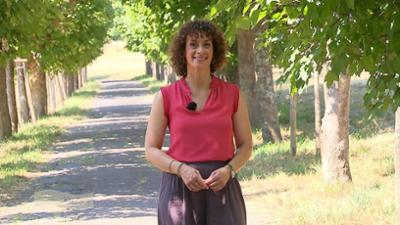 Wir im Saarland - Kultur: extra Wir im Saarland - Kultur: extra