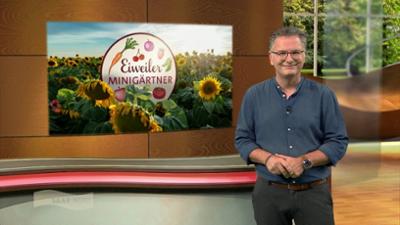 Wir im Saarland - Saar nur!