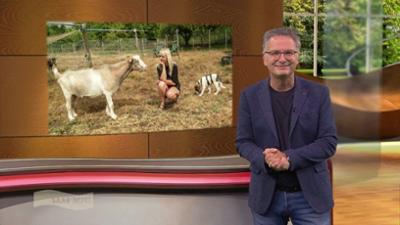 Wir im Saarland - Saar nur!