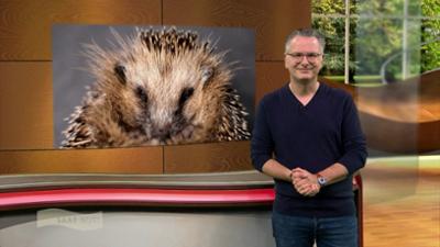 Wir im Saarland - Saar nur!