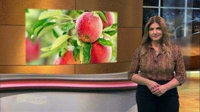 Wir im Saarland - Saar nur!