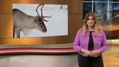 Wir im Saarland - Saar nur!