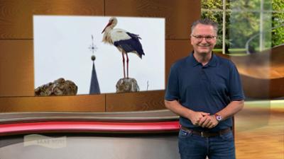 Wir im Saarland - Saar nur!