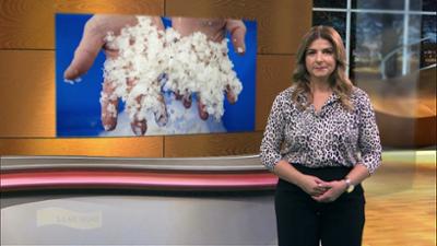 Wir im Saarland - Saar nur!