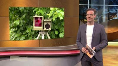 Wir im Saarland - Service