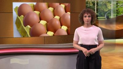 Wir im Saarland - Service