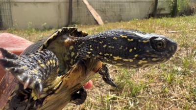 Woher wissen wir das?: So geht Artenschutz · Woher wissen wir das?