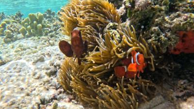 Woher wissen wir das?: Hotspots der Artenvielfalt · Woher wissen wir das?