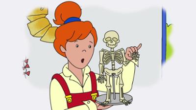 Caillou: leiht sich ein Buch / Friedolin, das Skelett / Caillnudel Caillou: leiht sich ein Buch / Friedolin, das Skelett / Caillnudel