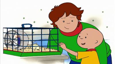 Caillou: und die Zahnfee / Caillou möchte erwachsen werden / Ein Schneemann in der Badewanne / Leos H
