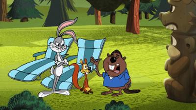 Die neue Looney Tunes Show: Staffel 1, Folge 34: Über den Wolken / Ein Platz auf dem Totempfahl