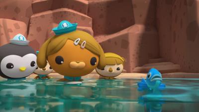 Die Oktonauten auf dem Festland: Staffel 1, Folge 7: Die Teufelskärpflinge