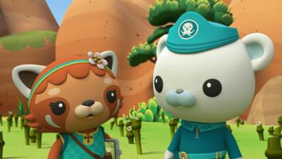 Die Oktonauten auf dem Festland: Staffel 1, Folge 13: Die Bambusbeschaffung