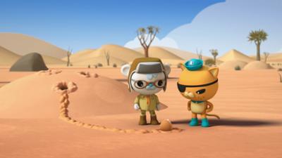 Die Oktonauten auf dem Festland: Staffel 1, Folge 16: Der Goldmull