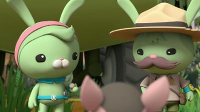 Die Oktonauten auf dem Festland: Staffel 1, Folge 21: Das Neunbinden-Gürteltier