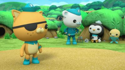 Die Oktonauten auf dem Festland: Staffel 1, Folge 24: Die Papageitaucher