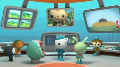 Die Oktonauten auf dem Festland: Staffel 2, Folge 8: Der einsame Frosch