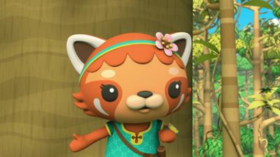 Die Oktonauten auf dem Festland: Staffel 2, Folge 42: Die Rettung des Regenwalds