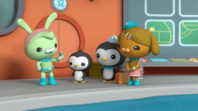 Die Oktonauten auf dem Festland: Staffel 1, Folge 11: Der neugierige Pinguin