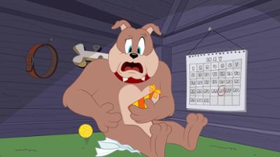 Die Tom und Jerry Show: Staffel 2, Folge 15: Spikes Geburtstag