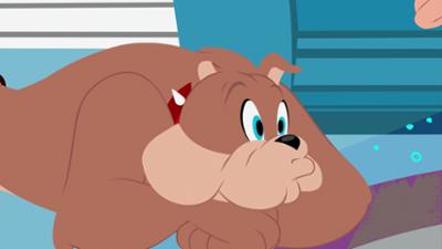 Die Tom und Jerry Show: Staffel 1, Folge 8: Spike, der Sicherheitsexperte / Die Zeitmaschine