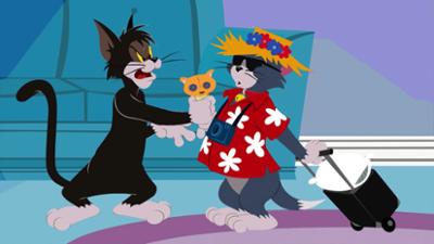 Die Tom und Jerry Show: Staffel 1, Folge 9: Geisterjäger / Der Straßentiger