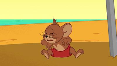 Die Tom und Jerry Show: Staffel 2, Folge 51: Urlaub am Strand