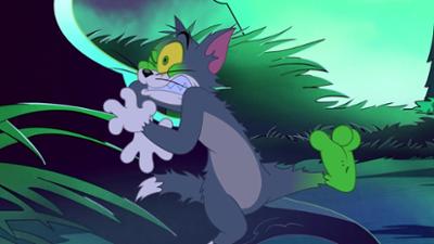 Die Tom und Jerry Show: Staffel 3, Folge 60: Tom, die Spinne