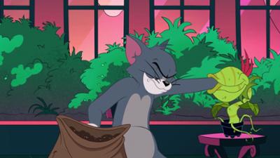 Die Tom und Jerry Show: Staffel 3, Folge 67: Der grüne Daumen
