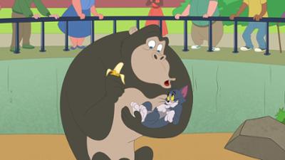 Die Tom und Jerry Show: Staffel 5, Folge 3: Ein Affe für Tom und Jerry