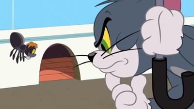 Die Tom und Jerry Show: Staffel 5, Folge 2: Die winzig kleine Spinne