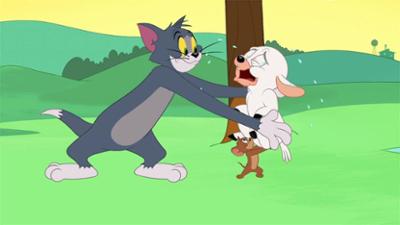 Die Tom und Jerry Show: Folge 32: Braves kleines Lämmchen