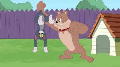 Die Tom und Jerry Show: Folge 31: Revierkämpfe