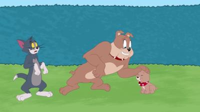 Die Tom und Jerry Show: Staffel 3, Folge 72: Die Hundchen-Olympiade