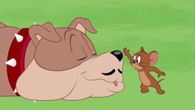 Die Tom und Jerry Show: Staffel 5, Folge 5: Die Höhlenkatz