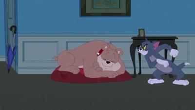 Die Tom und Jerry Show: Staffel 5, Folge 12: Paranormale Aktivitäten