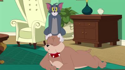 Die Tom und Jerry Show: Folge 19: Alles für die Katz