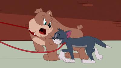 Die Tom und Jerry Show: Staffel 3, Folge 2: Tom geht Gassi