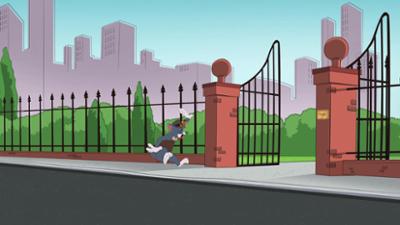 Die Tom und Jerry Show: Staffel 4, Folge 42: Die wilde Wildgans