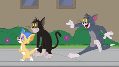 Die Tom und Jerry Show: Staffel 2, Folge 103: Das Date