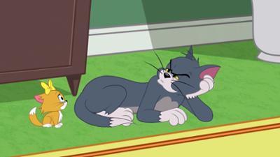 Die Tom und Jerry Show: Staffel 2, Folge 9: Das Miezekätzchen