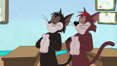 Die Tom und Jerry Show: Staffel 4, Folge 8: Eine Klasse für sich Die Tom und Jerry Show: Staffel 4, Folge 8: Eine Klasse für sich