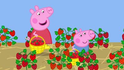 Peppa Pig: Staffel 8, Folge 16: Erdbeeren