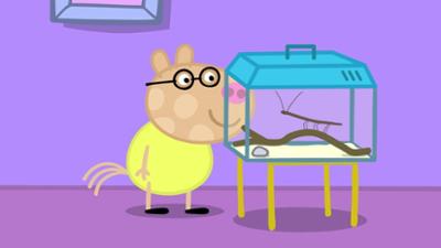Peppa Pig: Folge 21: Der Haustierwettbewerb