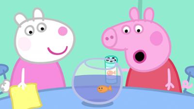 Peppa Pig: Staffel 5, Folge 21: Der Haustierwettbewerb