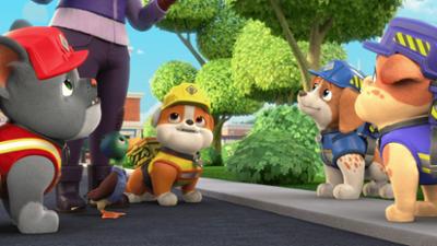 Rubble & Crew: Staffel 1, Folge 8: Die Crew baut eine Waschanlage