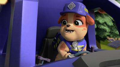 Rubble & Crew: Staffel 1, Folge 30: Die Crew baut ein Fledermaus-Haus